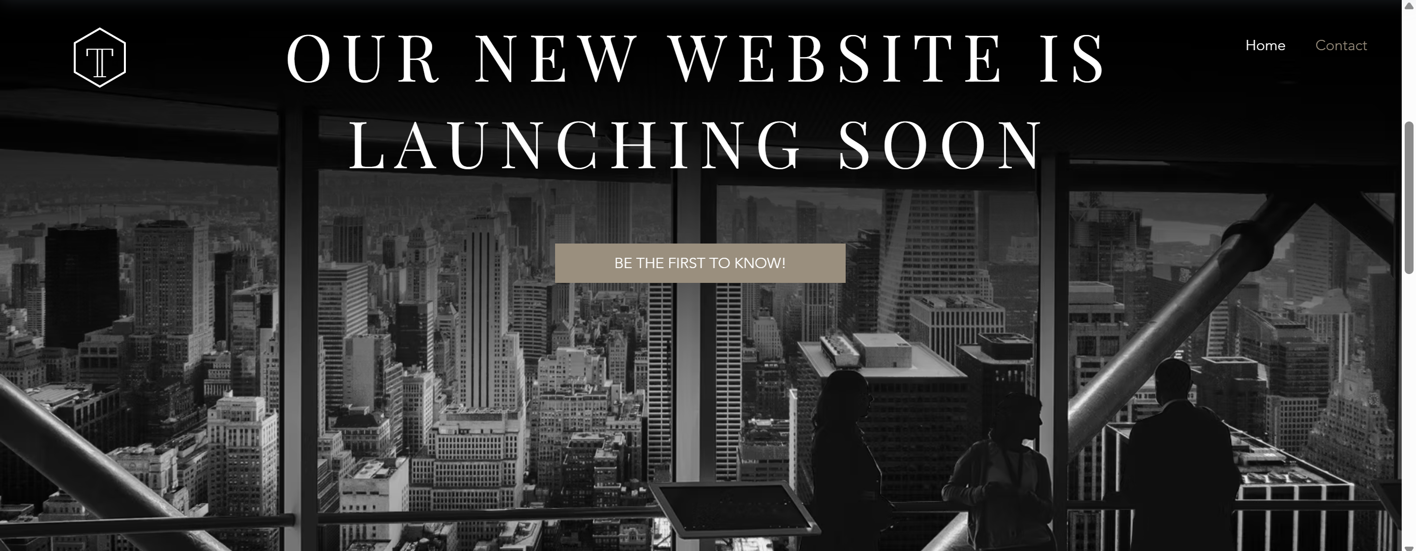 Business Website